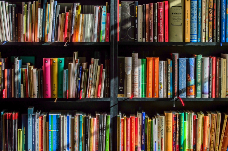 vitrine-ST AUBAN-min_books_bookstore_book_reading_shop_writer_sale_books_read-822866