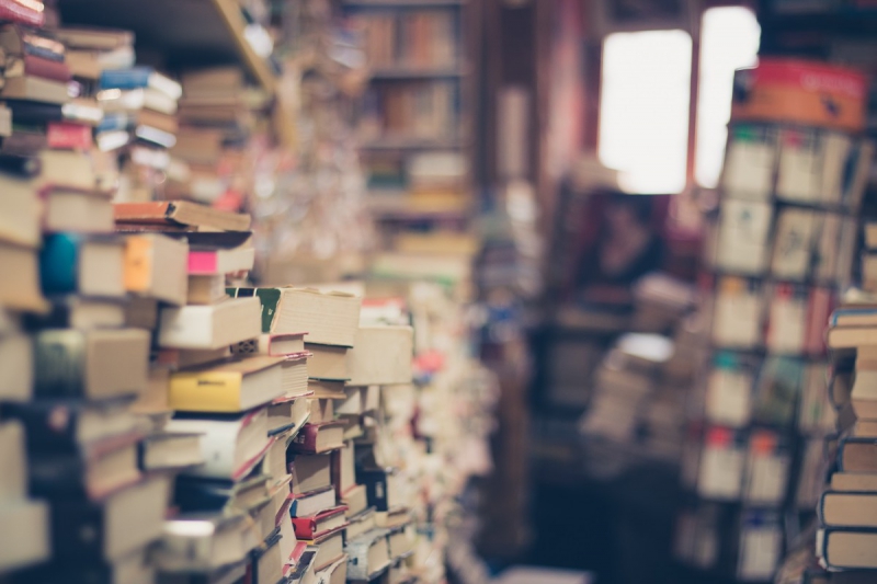 vitrine-ST AUBAN-min_books_stack_book_store_stack_of_books_2nd_hand_retro_hipster_shop-829090
